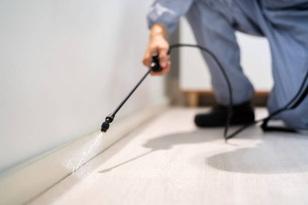 Licensed Cockroach Control service in Thorsby, AL - Nex Pest Control