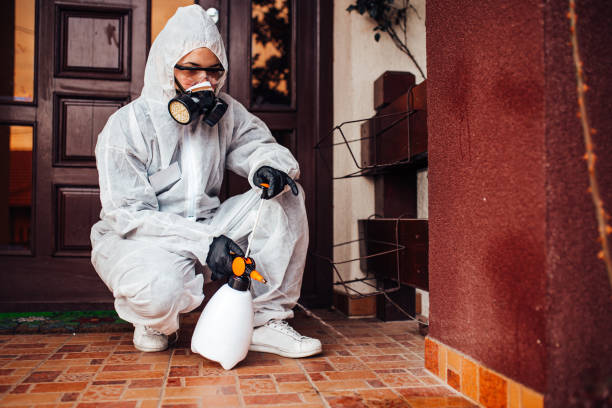 Reliable Cockroach Control contractor in Thorsby, AL by Nex Pest Control